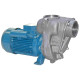 GMP Stainless Steel Self Priming Surface Mounted Electric Pumps