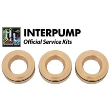 Interpump Service/Repair Kit 10