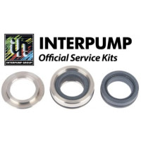 Interpump Service/Repair Kit 351