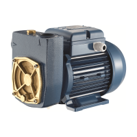 Pentax MD100 Pump Liquid Ring Positive Displacement Pump 230v 45 Lpm 60m H