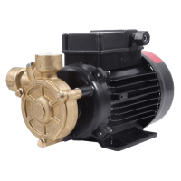 Osip Pump PB100T Pump Peripheral Turbine Surface Mounted Pumps 415V 52 Lpm 55 Hm