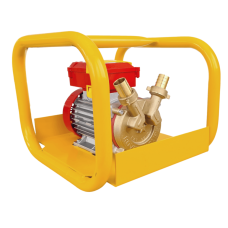 Rover Pompe BE-M25F Self Priming Liquid Ring Pump in Crash Frame 230v 40 Lpm 12 Hm
