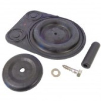 Patay BE45E Pump Repair Kit S1002B (Butyl) 