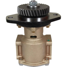 Pentair Sherwood P1727C Flange Mounted Engine Cooling Pump (Flange Ports)